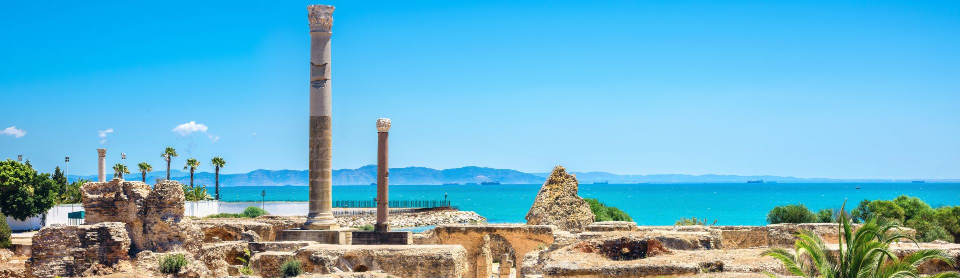 Transmundi Operadora de Turismo