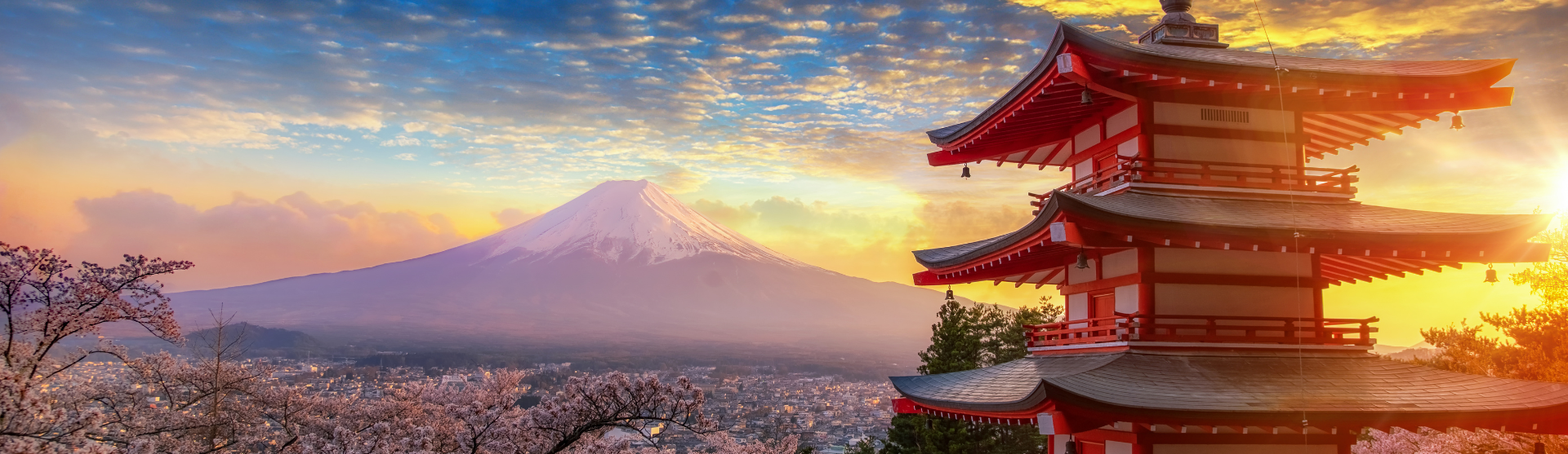 Transmundi Operadora de Turismo