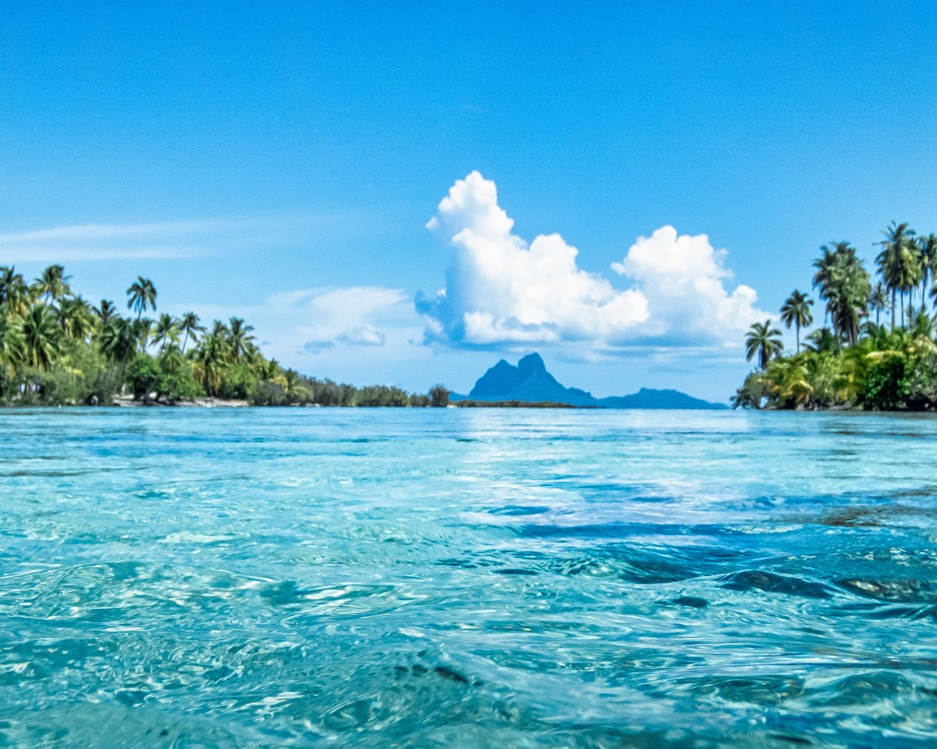 Paisagem tropical com mar de água transparente e rasa, coqueiros nas margens e uma ilha montanhosa ao fundo sob céu azul.