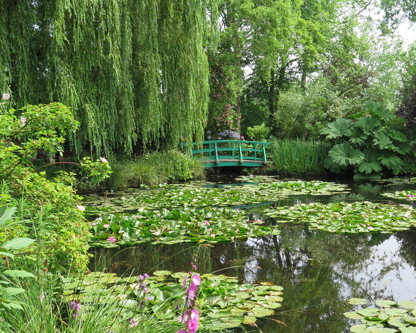 Lago de vitórias-régias com a famosa ponte japonesa verde nos Jardins de Monet em Giverny