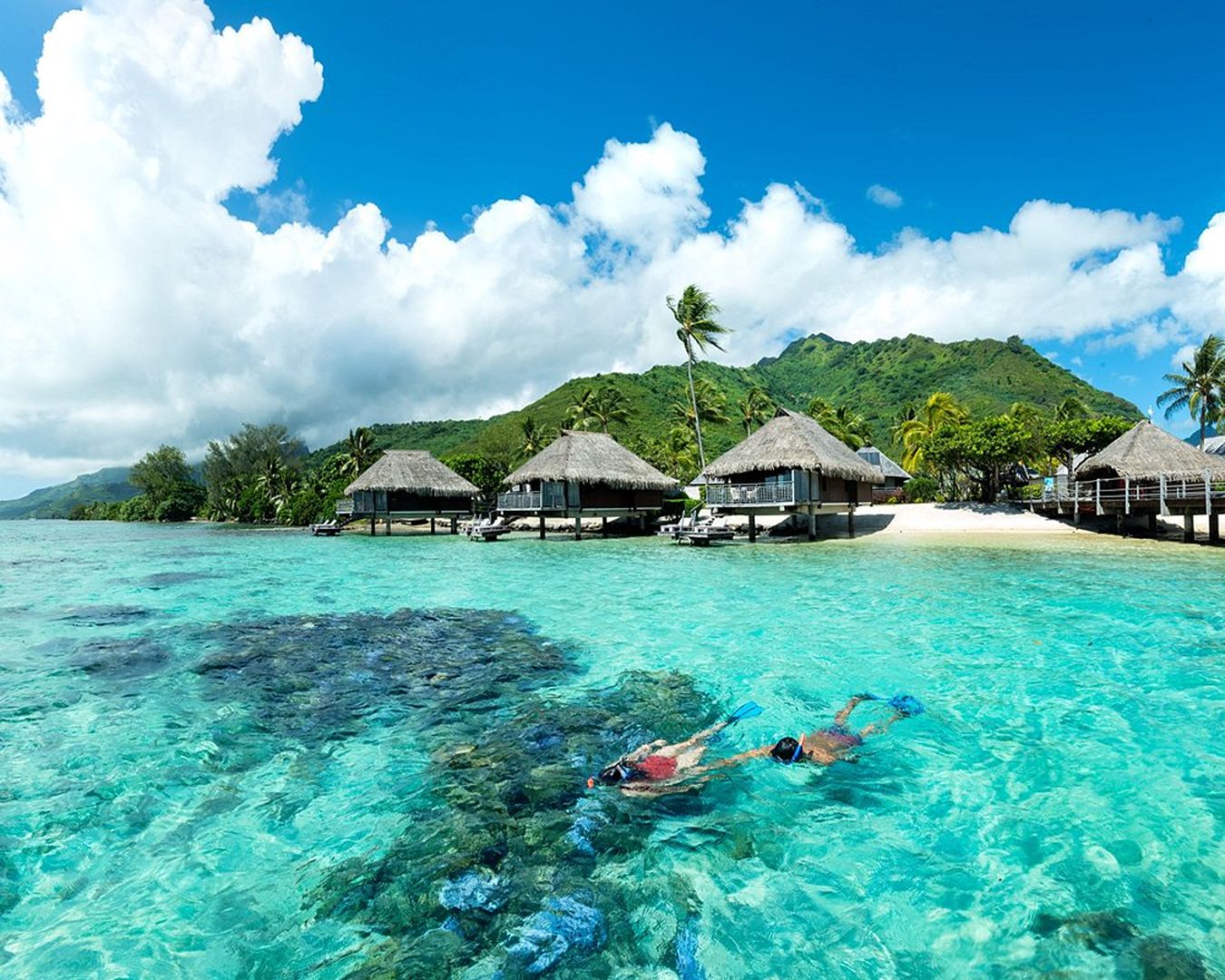Duas pessoas praticando mergulho de superfície em águas transparentes sobre recifes de coral perto de bangalôs em Moorea.
