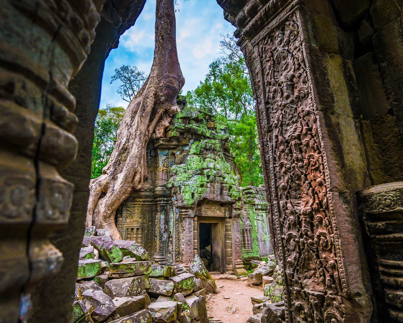 Raízes gigantescas de árvore sobre as ruínas de pedra do templo Ta Prohm em Angkor, Camboja