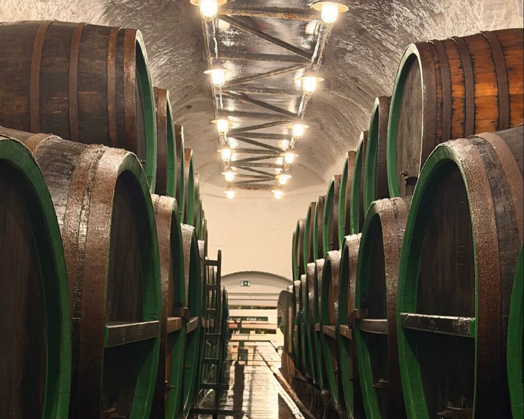 Barris de carvalho alinhados em uma adega subterrânea tradicional de vinho